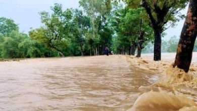 Photo of শেরপুরে ভয়াবহ বন্যায় লাখো মানুষ পানিবন্দি, মৃত্যু ৫